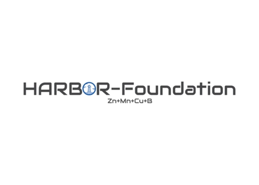 HARBOR®-Foundation